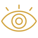 vision icon